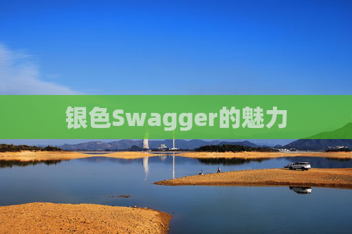 银色Swagger的魅力